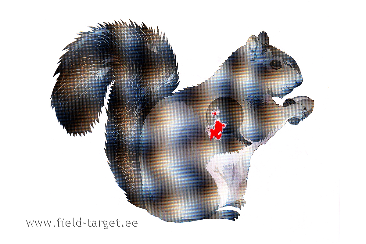 Theoben Evolution MTC 4-16x50 FT - test In-Door 25m